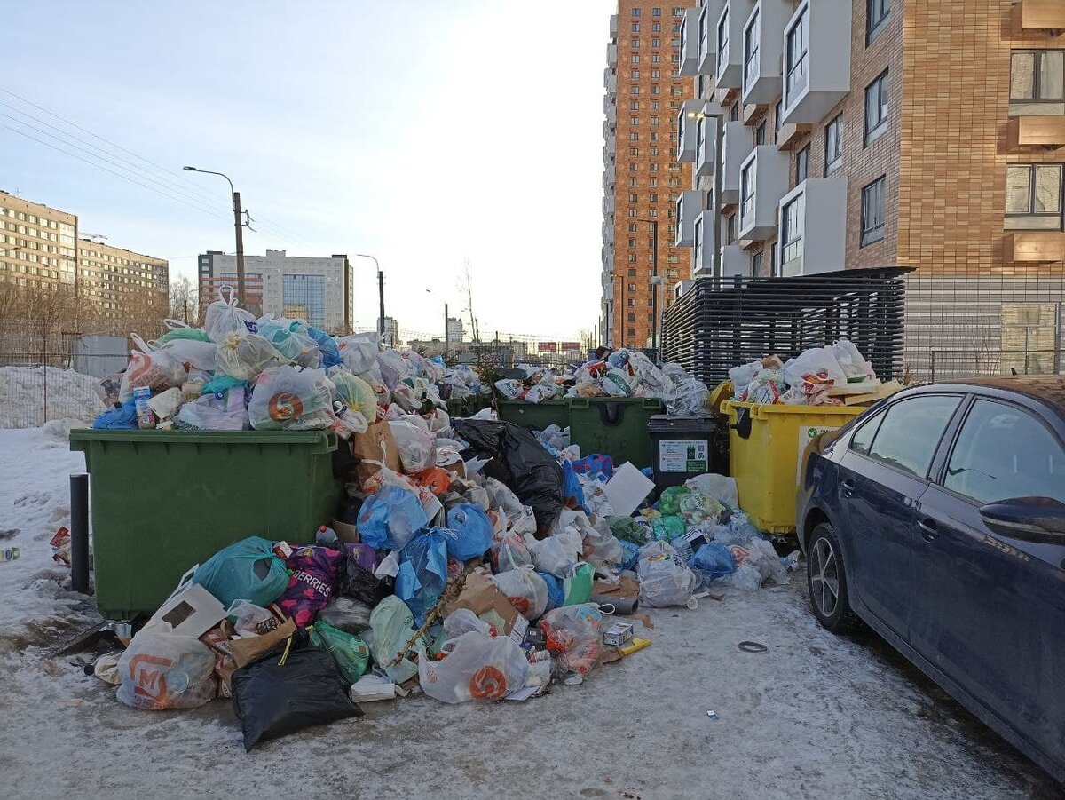 спецтранс москва помойка. мусорный коллапс в подмосковье. мусорная площадка в посёлке. мусор в городе. мусорный коллапс в невеле.