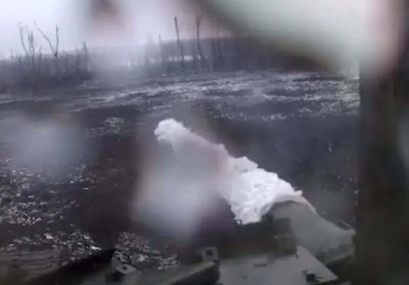 Солдаты россии. Армия днр в мариуполе. Перестрелка в лесу. Штурм позиций. Специальная военная операция.