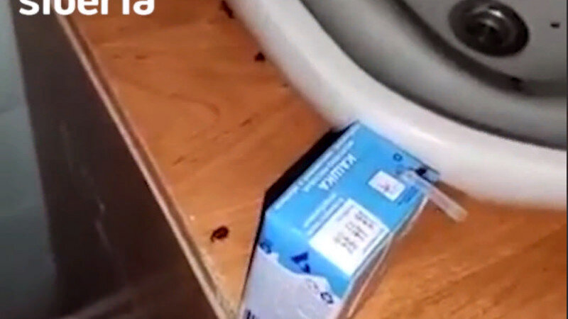     Детская инфекционная больница Барнаула. Mash Siberia