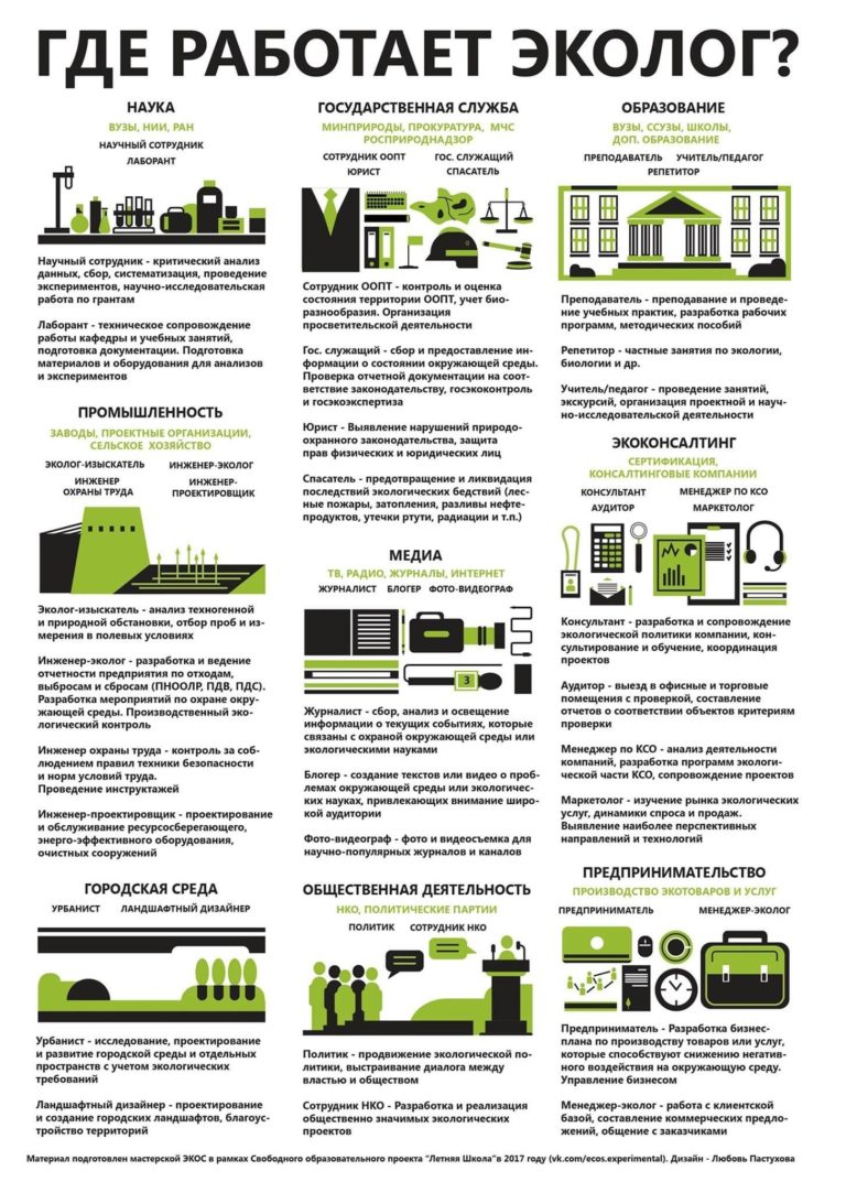 Где работать экологу? | Грязная правда | Дзен