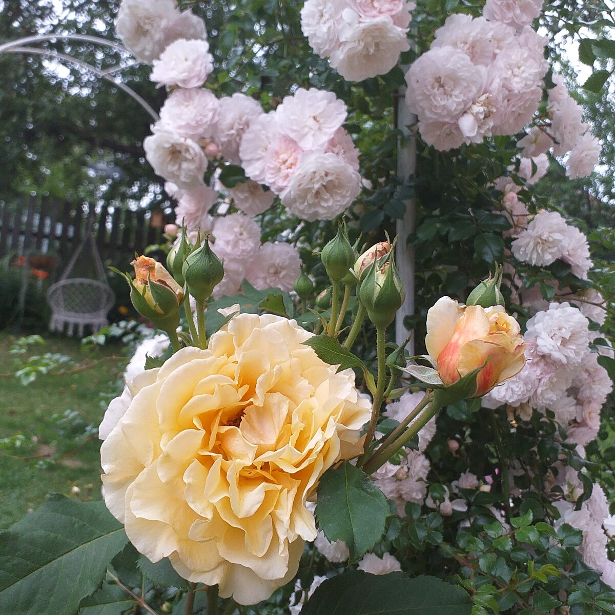 фото автора