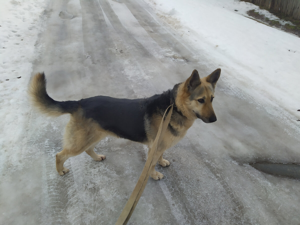 люди идут по улице. мем пошли домой. иди домой мем. обычно я иду домой. собирайся домой картинки прикольные.