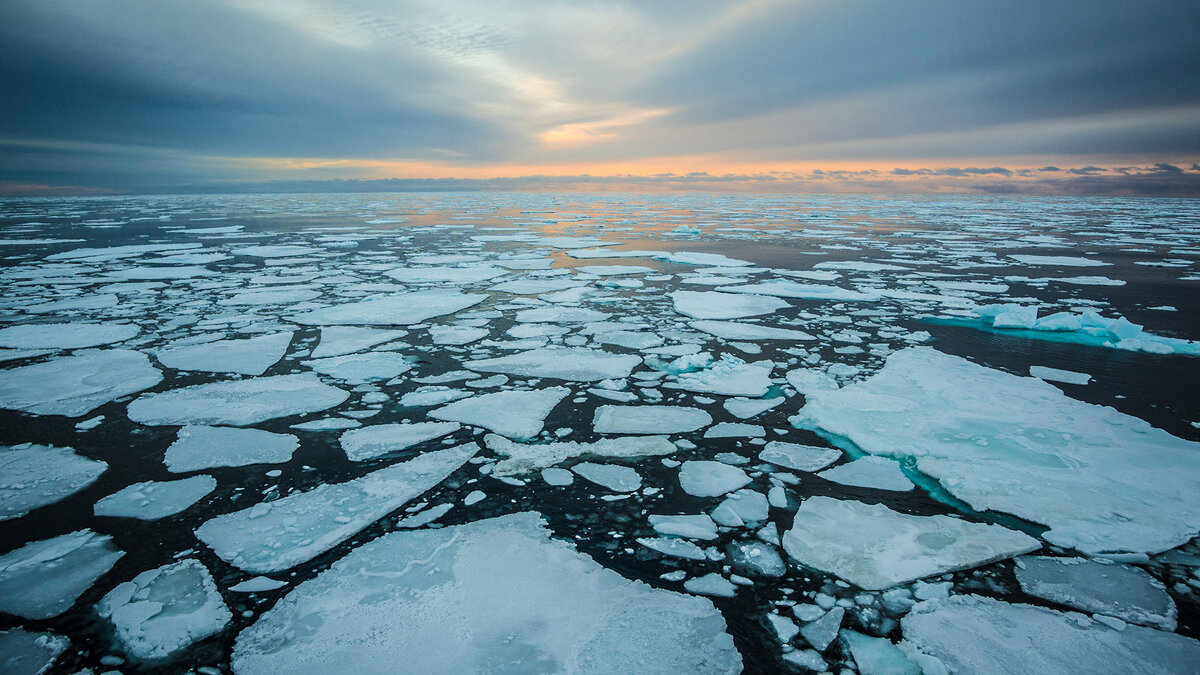 Арктика Северный Ледовитый океан. Ледяной Покров Северного Ледовитого океана. Северный Ледовитый океан паковый лед. Северный полюс Северный Ледовитый океан. Как меняется природа арктических морей