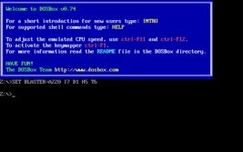 DOSBox