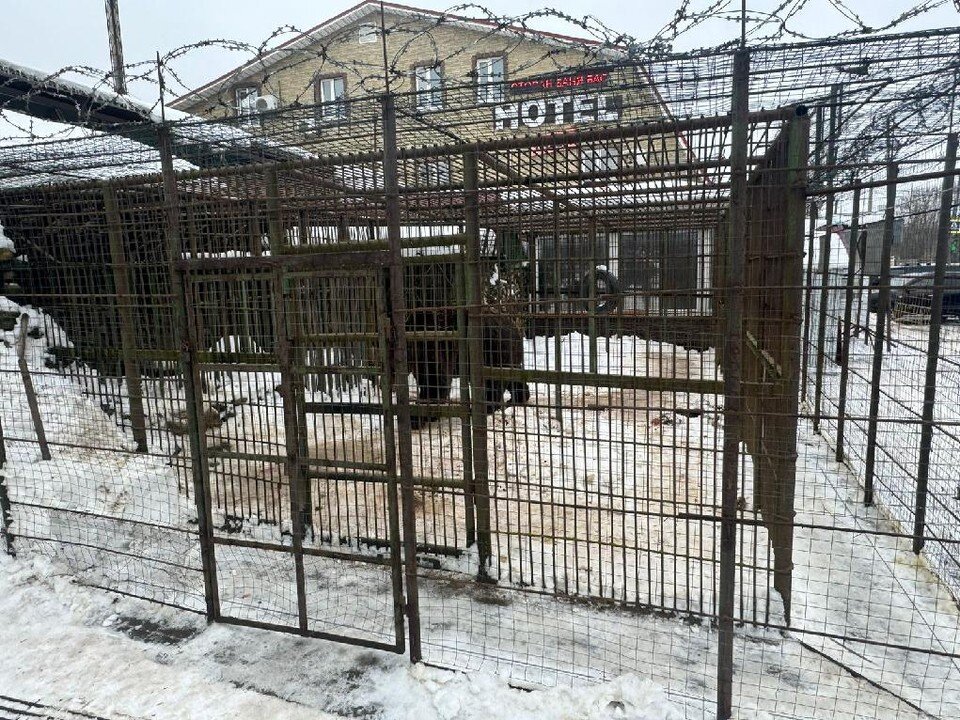 Видеорегистратор trassir miniclient. Trassir duostation 2416r-16p. Удаленное рабочее место miniclient. Удаленное рабочее место miniclient. Рабочее место веб дизайнера.