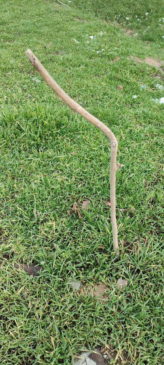 план упражнений. умные мысли и высказывания. спортивные люди. планка для похудения. весы.