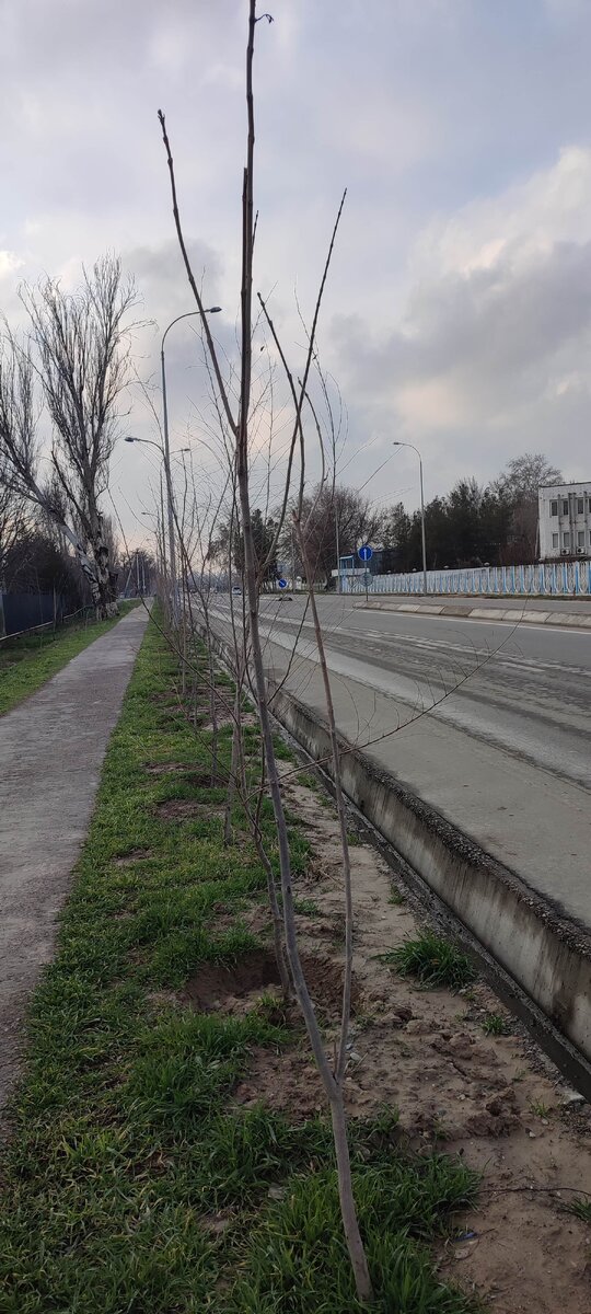 Плохая дорога. Камни сейды в карелии. Аляска дороги. Почему дорог стоят. Разметка край проезжей части 1.