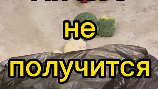 Просто ничего не хочется. У меня не получится. Ничего не хочется картинки. Не получается ничем заняться. У тебя ничего не получится.