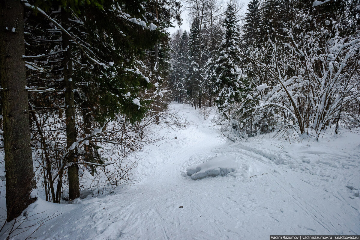 Абрамцево маршрут