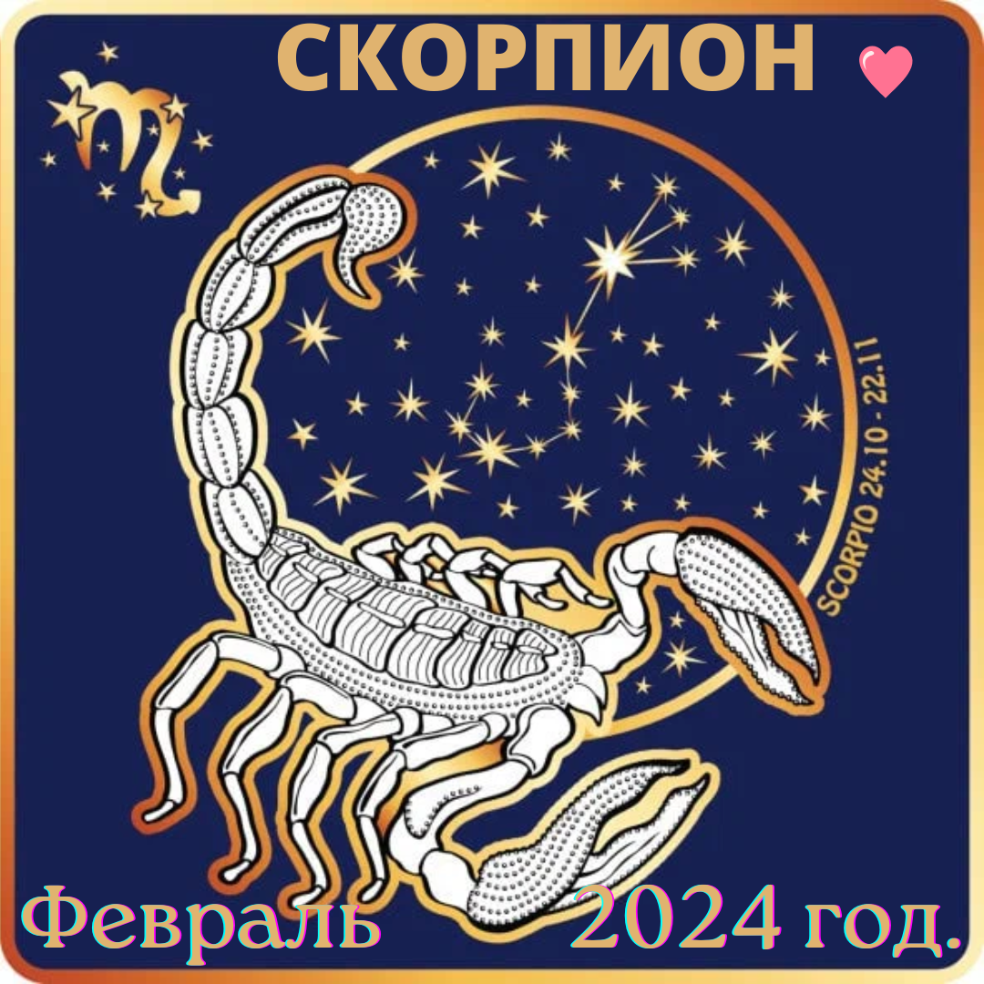 Скорпион. Прогноз на февраль 2024 года. | Goroskop Pro | Дзен