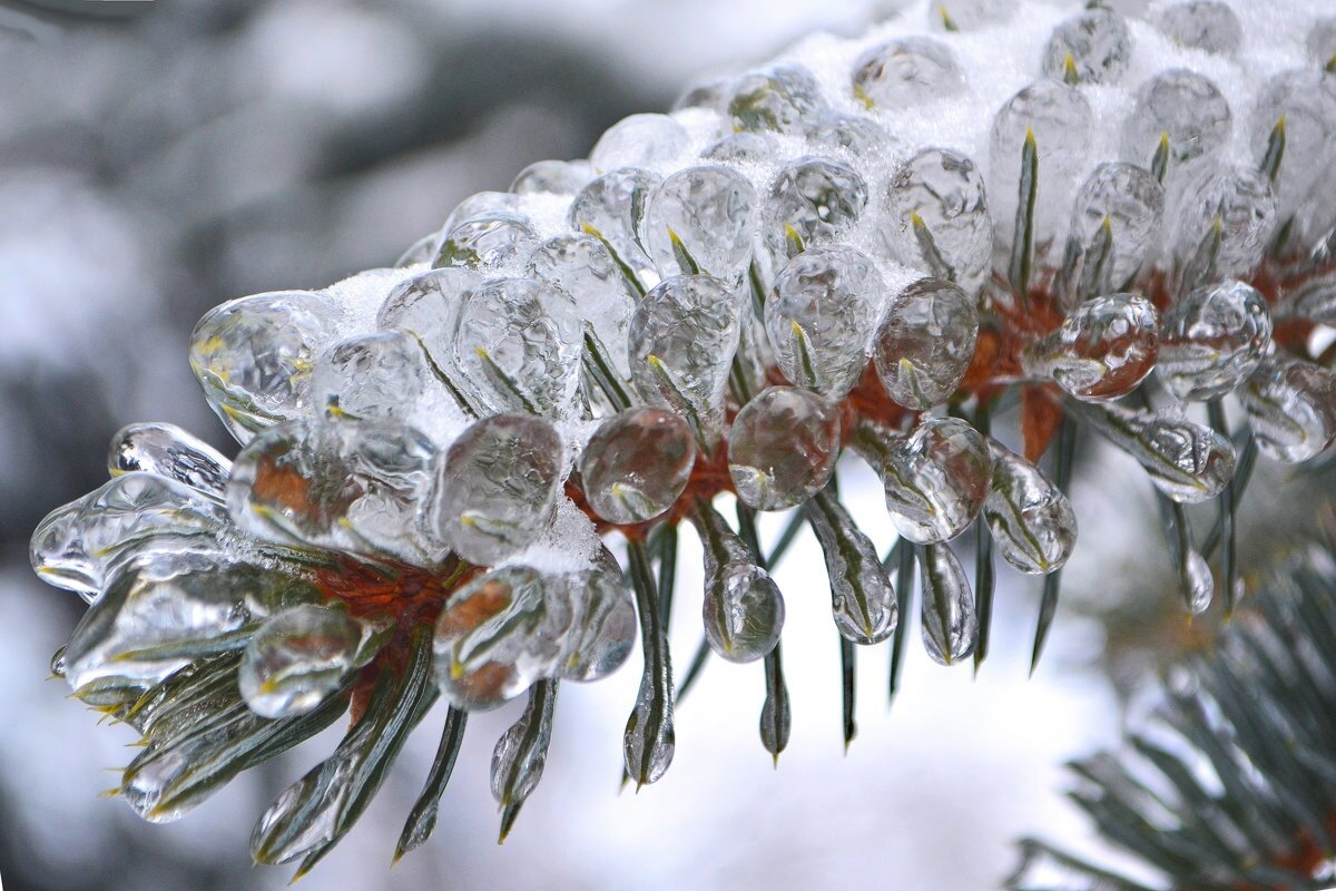 Ледяная корка из вытекшей воды. Источник: https://sun9-east.userapi.com/sun9-21/s/v1/ig2/-l7XKJiDO1aBZSCKi9ZzOkkb10fQfyxRhUzQrgFQXIb6JV-0Y5ptO5kXawTbjU2heulYM8jPNqXe8N37o-x8xB0I.jpg?size=1200x800&quality=95&type=album