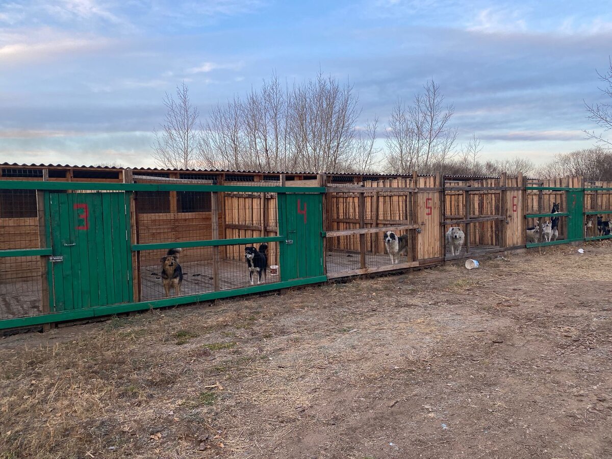 как писать чтобы слитно или раздельно. не закрыв дверь слитно. не с причастиями. не раздельном или слито. не с причастиями примеры.