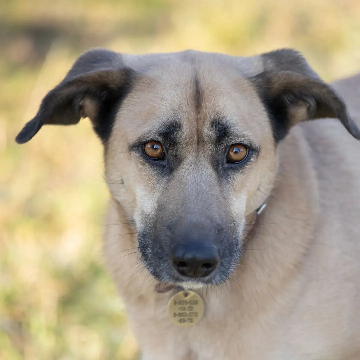единственный и неповторимый. жизнь единственная и неповторимая. жизнь единственная и неповторимая. ты моя любимая и единственная женщина стихи. жизнь единственная и неповторимая.