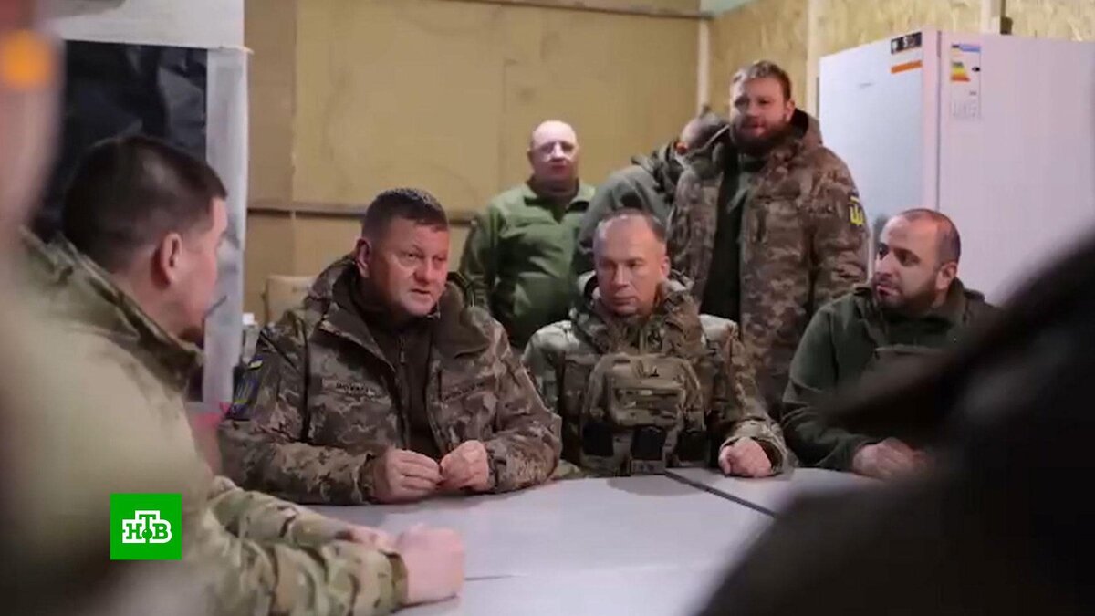    WP: Зеленский уволит Залужного    из-за    разногласий по вопросу новой мобилизации