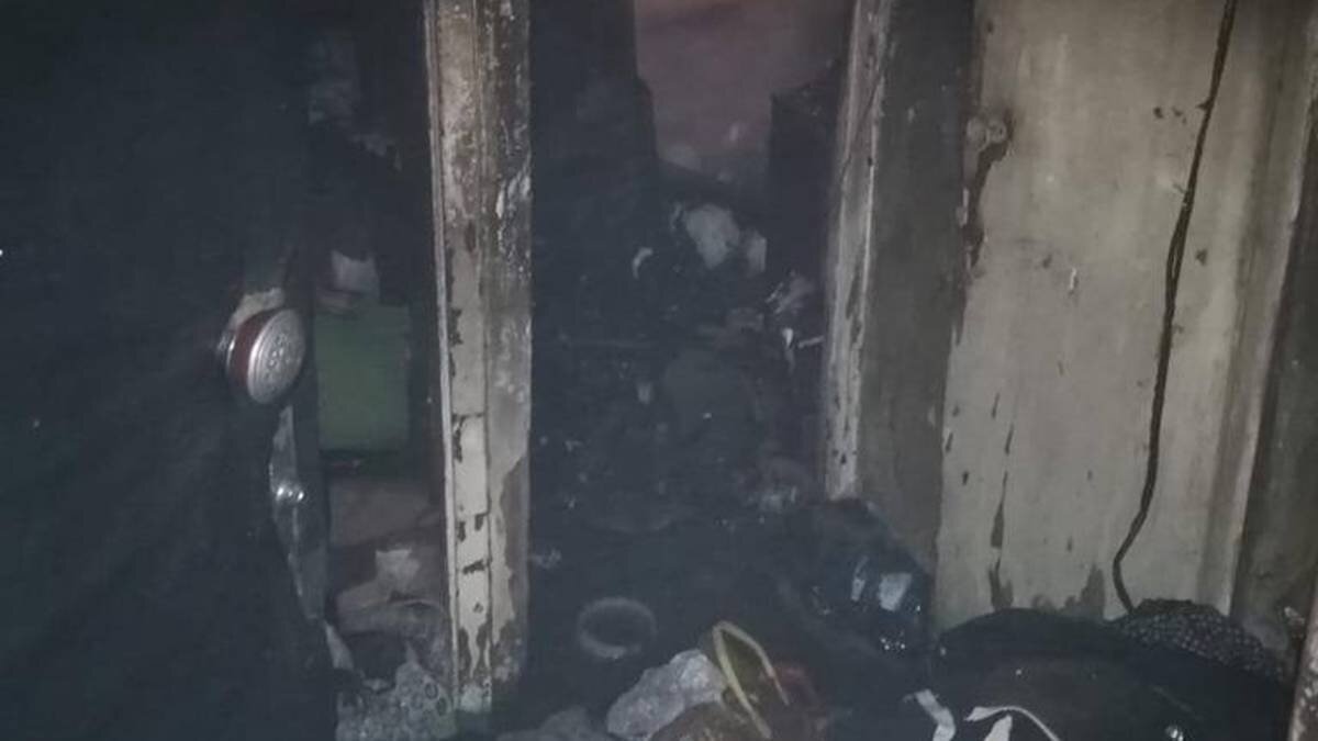    Фото: Telegram / Прокуратура Москвы