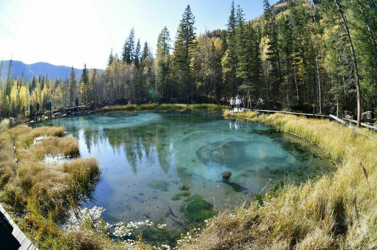 проекты детей в школе. региональный проект технология. туристский кластер. социальное проектирование в школе. белгородский областной детский эколого-биологический центр.