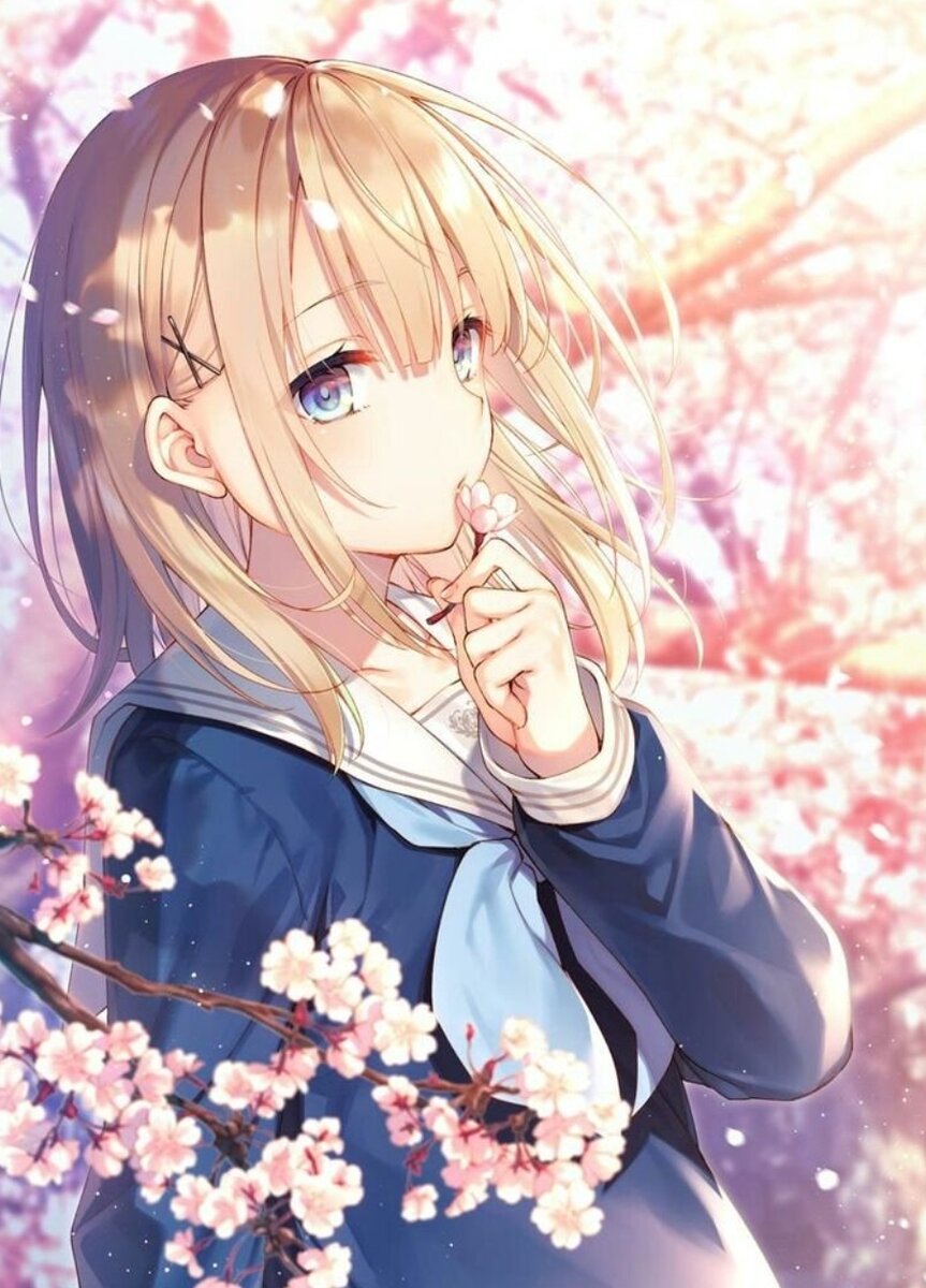 Сакура прекрасный цветок 