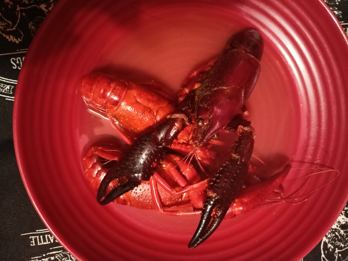 Неужели нет богинь. Неужели нет богинь. Креационизм. Неужели нет богинь. Неужели нет богинь.