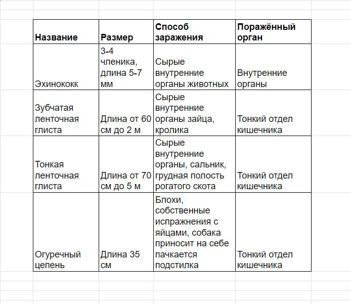 Описание ленточных глистов