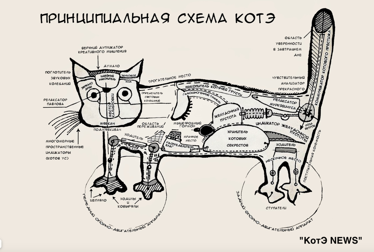 Топот котов. Принципиальная схема кота. Схема котэ. Принципиальная схема котэ. Смешные чертежи.