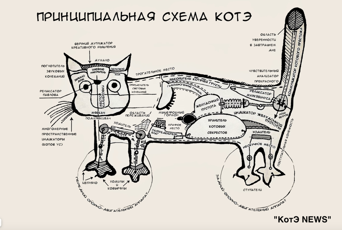 Схема кота