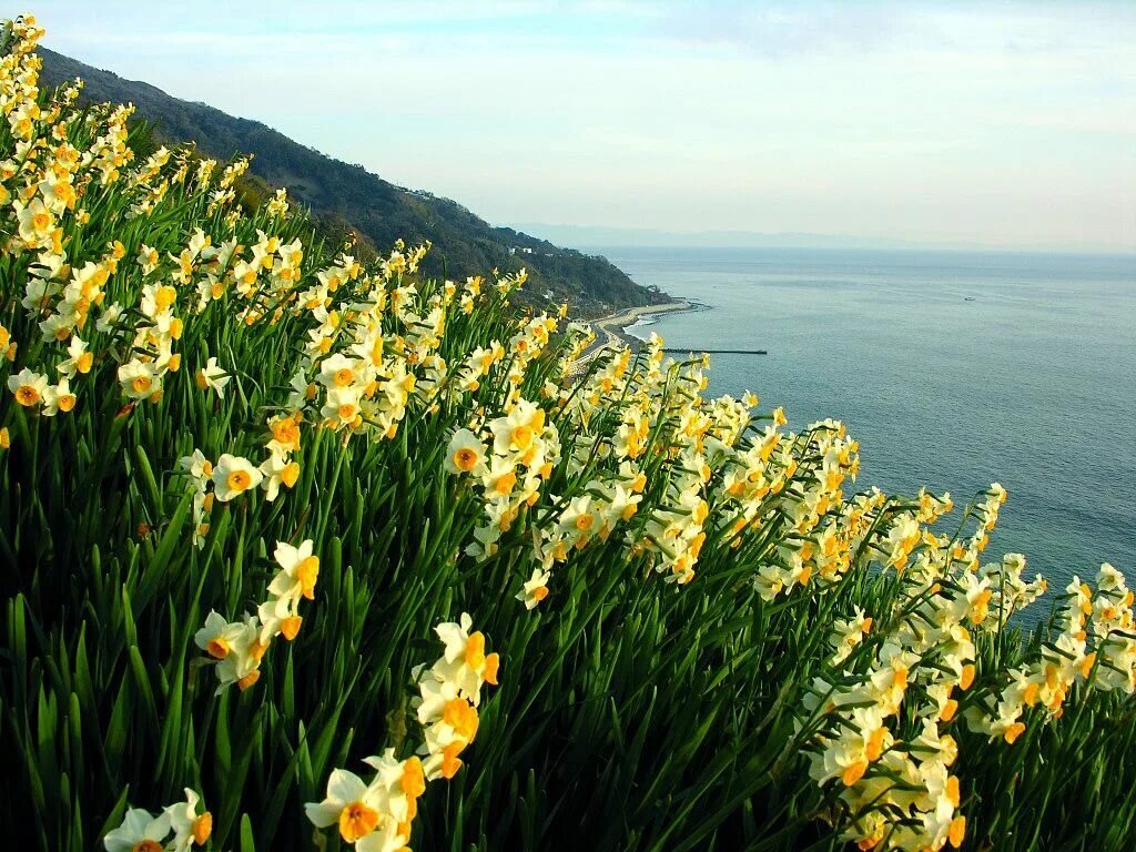 Долине под цифрой 3. Долине под цифрой 3. Долине под цифрой 3. Долине под цифрой 3. Развидневшееся морфологический разбор.