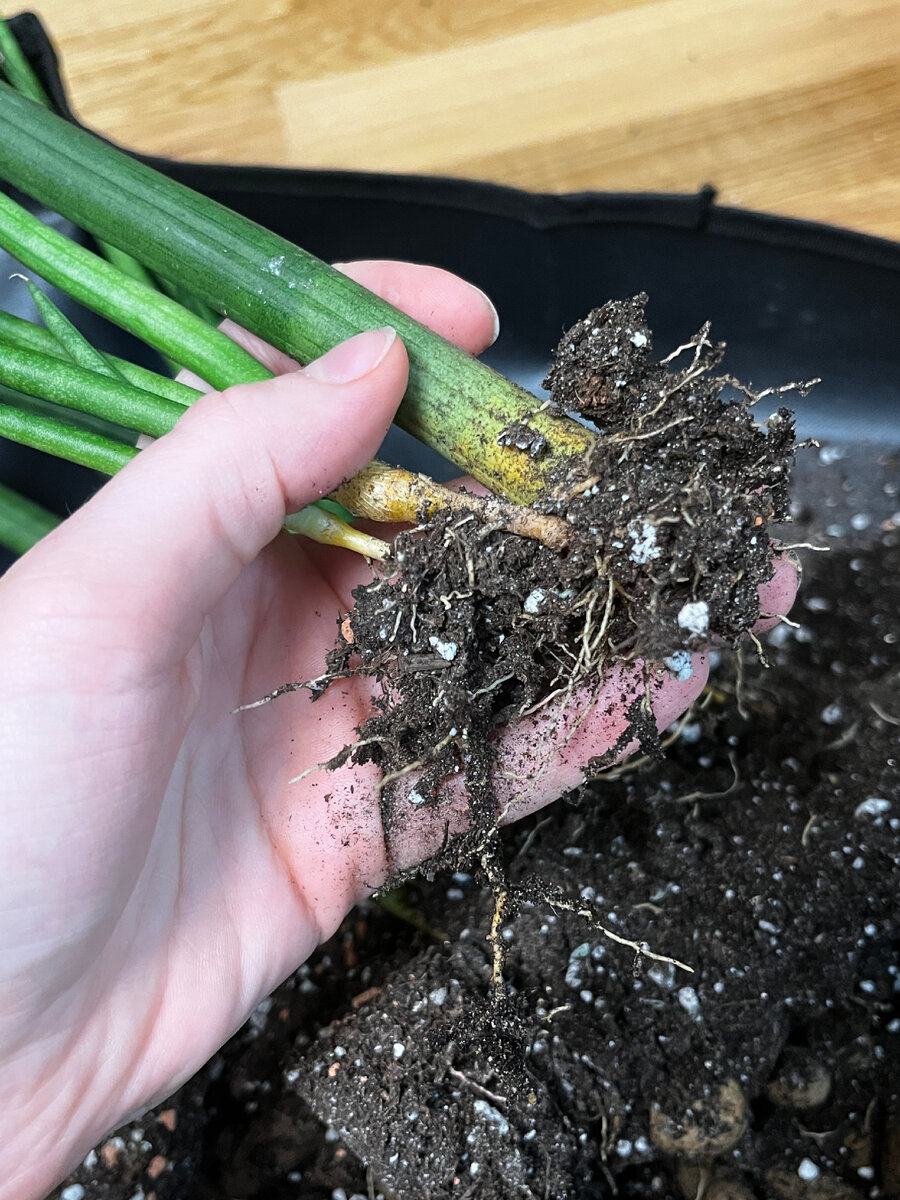 каждый человек делает выбор. правильный выбор в жизни. бывают правильными. бывают правильными. бывают правильными.