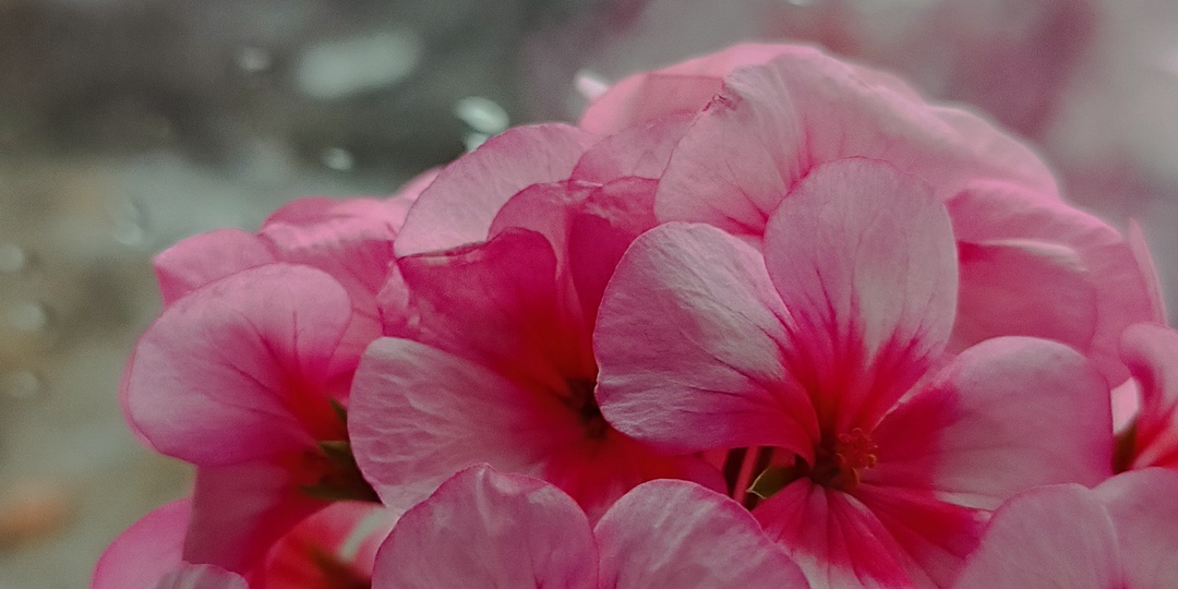 Как я ходила к врачу просто взять направление ,а оказалось