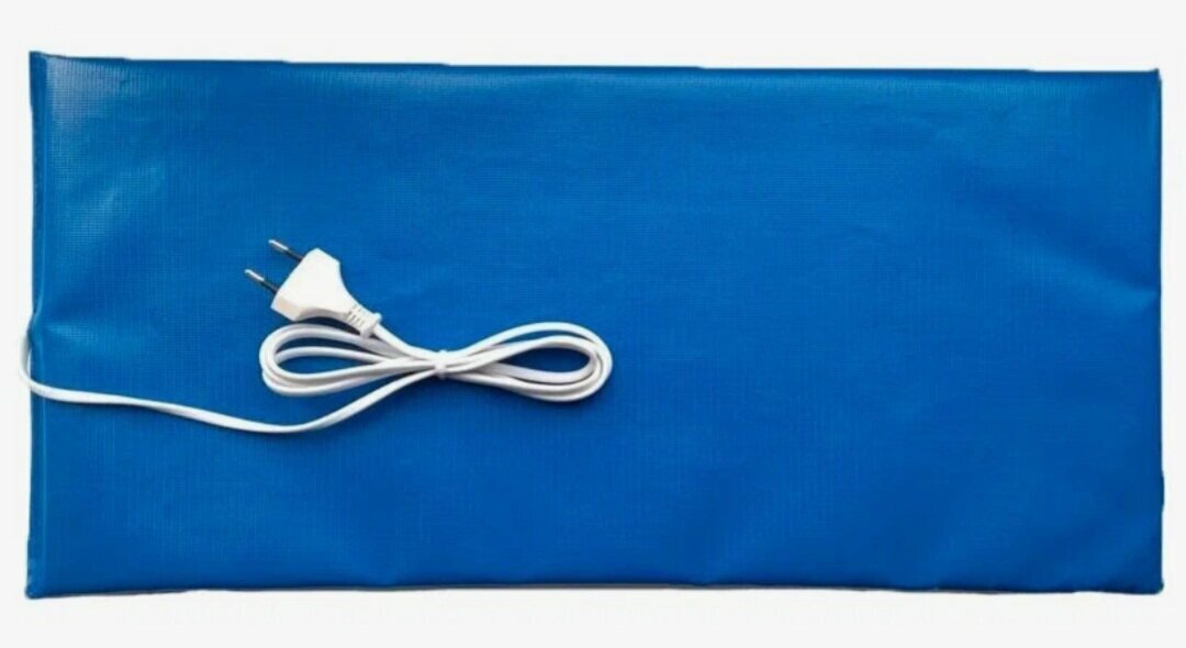 Фото из интернета