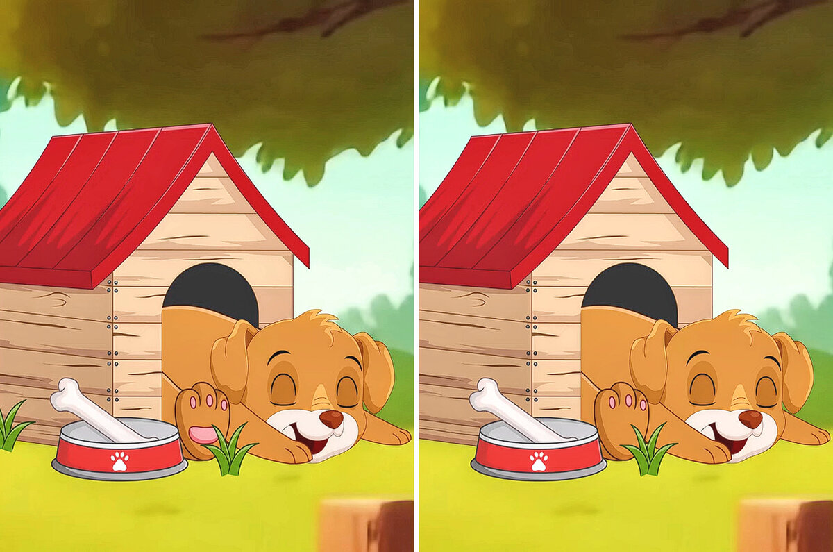 разница между любящими не любящим мужчиной. каждая пара такая 1. фотосессия влюбленных. каждая пара такая 1. романтичные картинки.