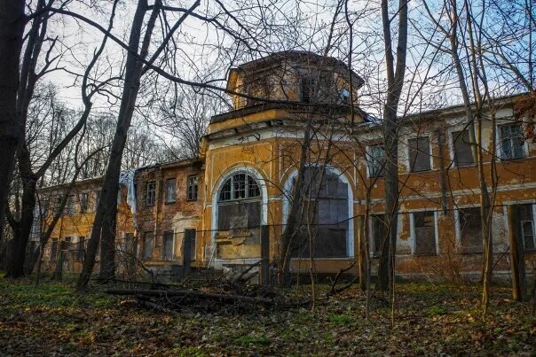 Фото из открытых источников