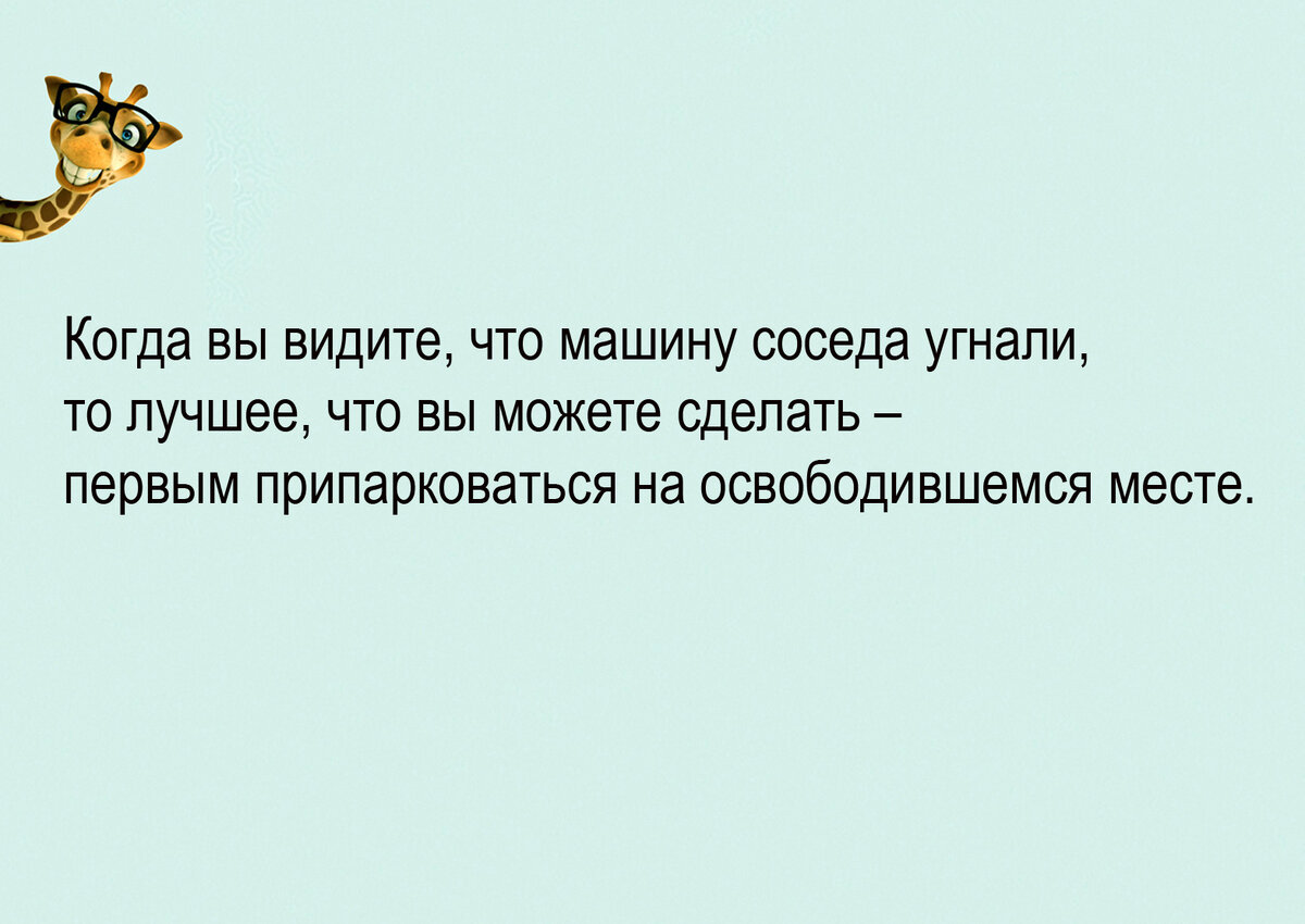 Изображение и текст автора