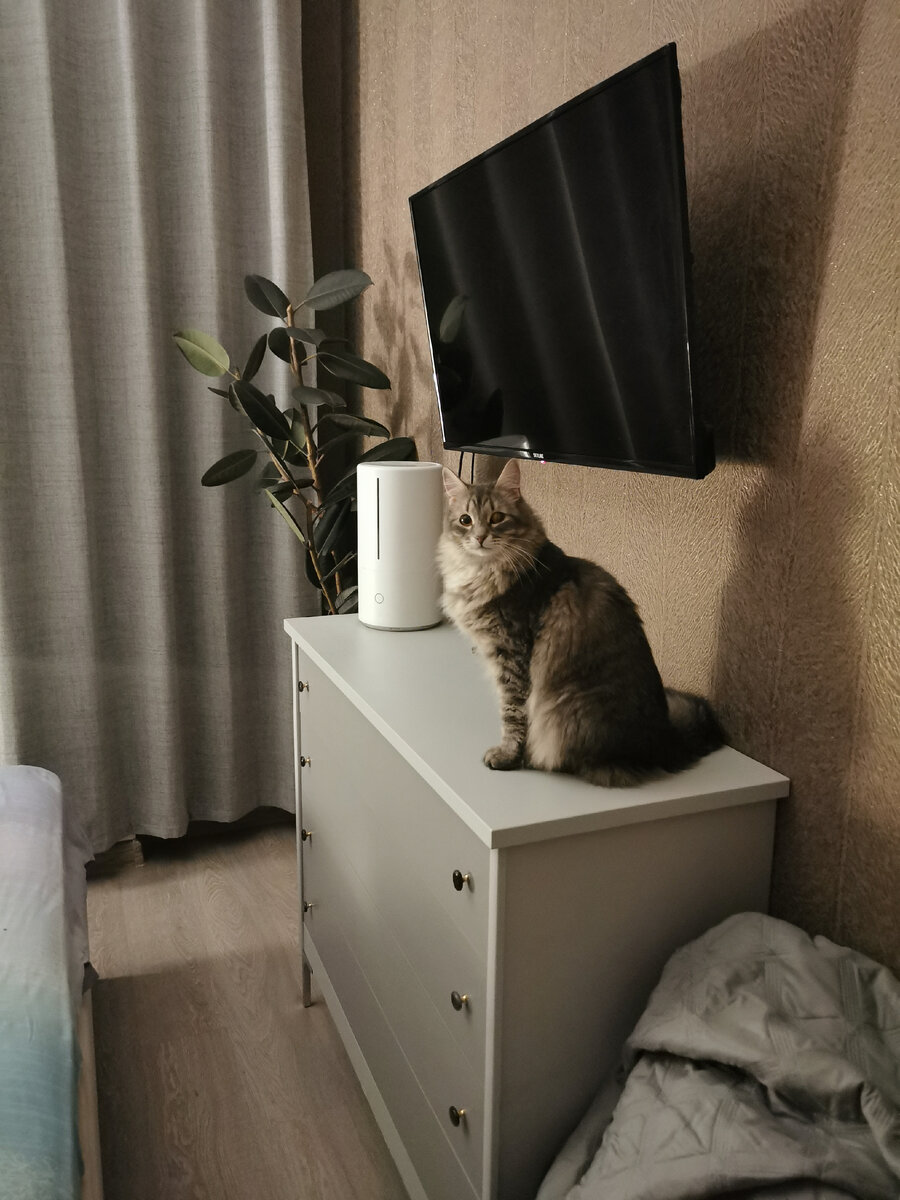 Разгрузочный день на 4 кг. Утром минус 1. Что пить по утрам чтоб похудеть. Рецепты похудения для ленивых. Какие напитки пить для похудения.