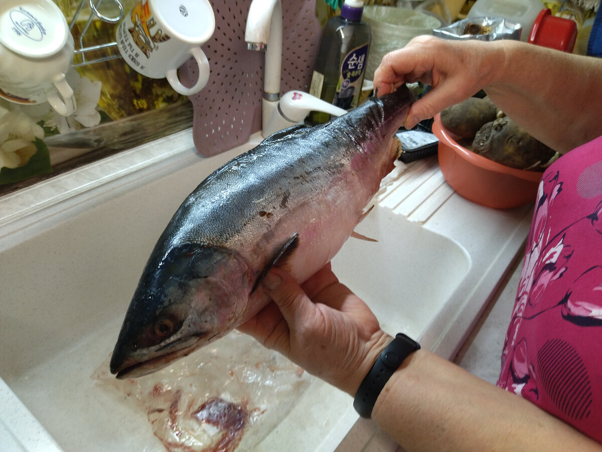 Кот стоит. Котоматрица черный кот. Смешные черные коты. Мемы про задние парты. Перечеркнутый знак вилка и нож.