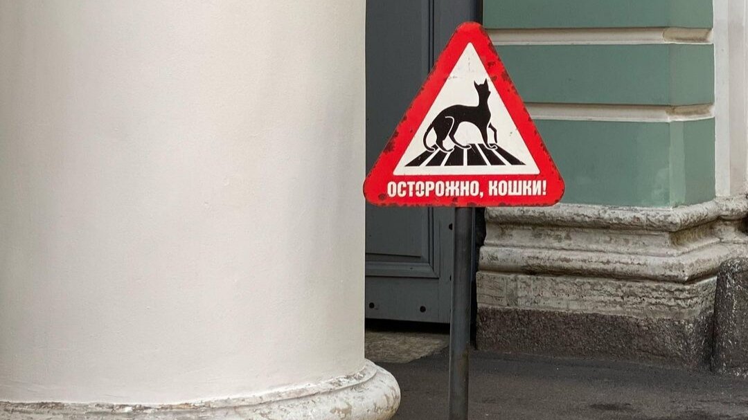 Знак "Осторожно, кошки" возле Эрмитажа