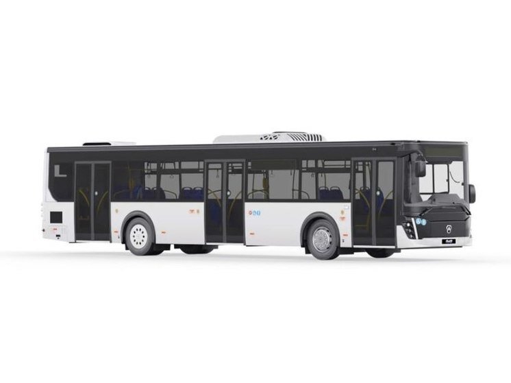 Атп сталкер народная солянка. 1. Мозг человека арт. Мозг на атп. Мозг на атп.