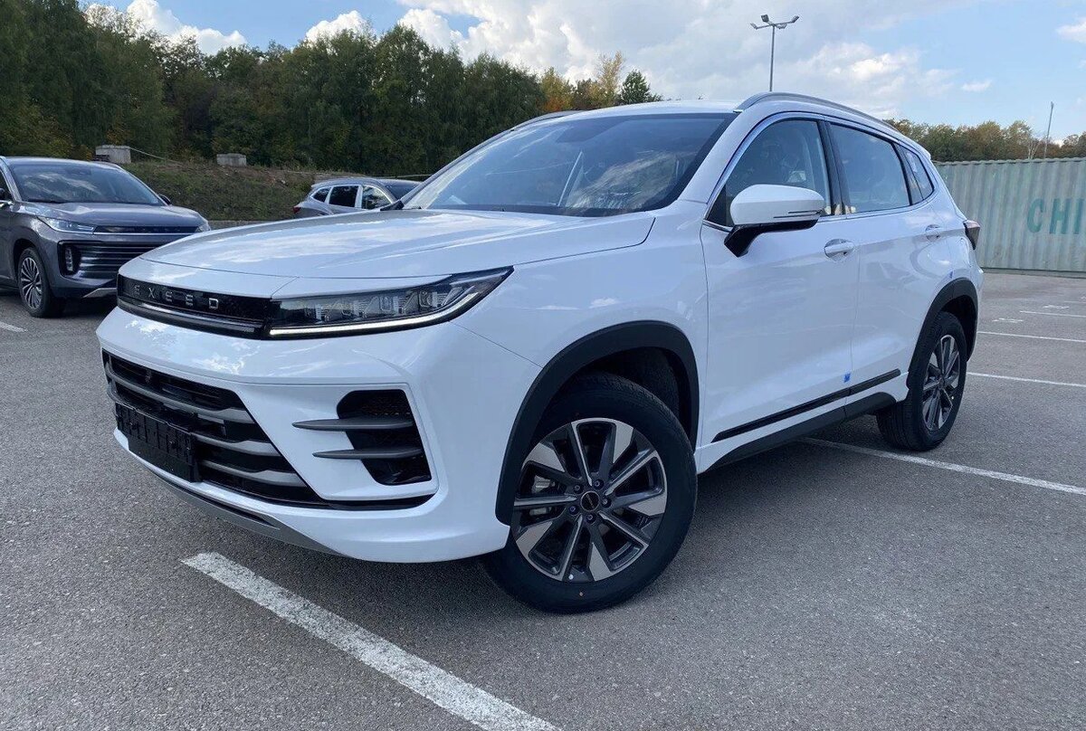 Я приобрел эту машину в марте и за полгода эксплуатации у меня сложилось свое мнение о ней.