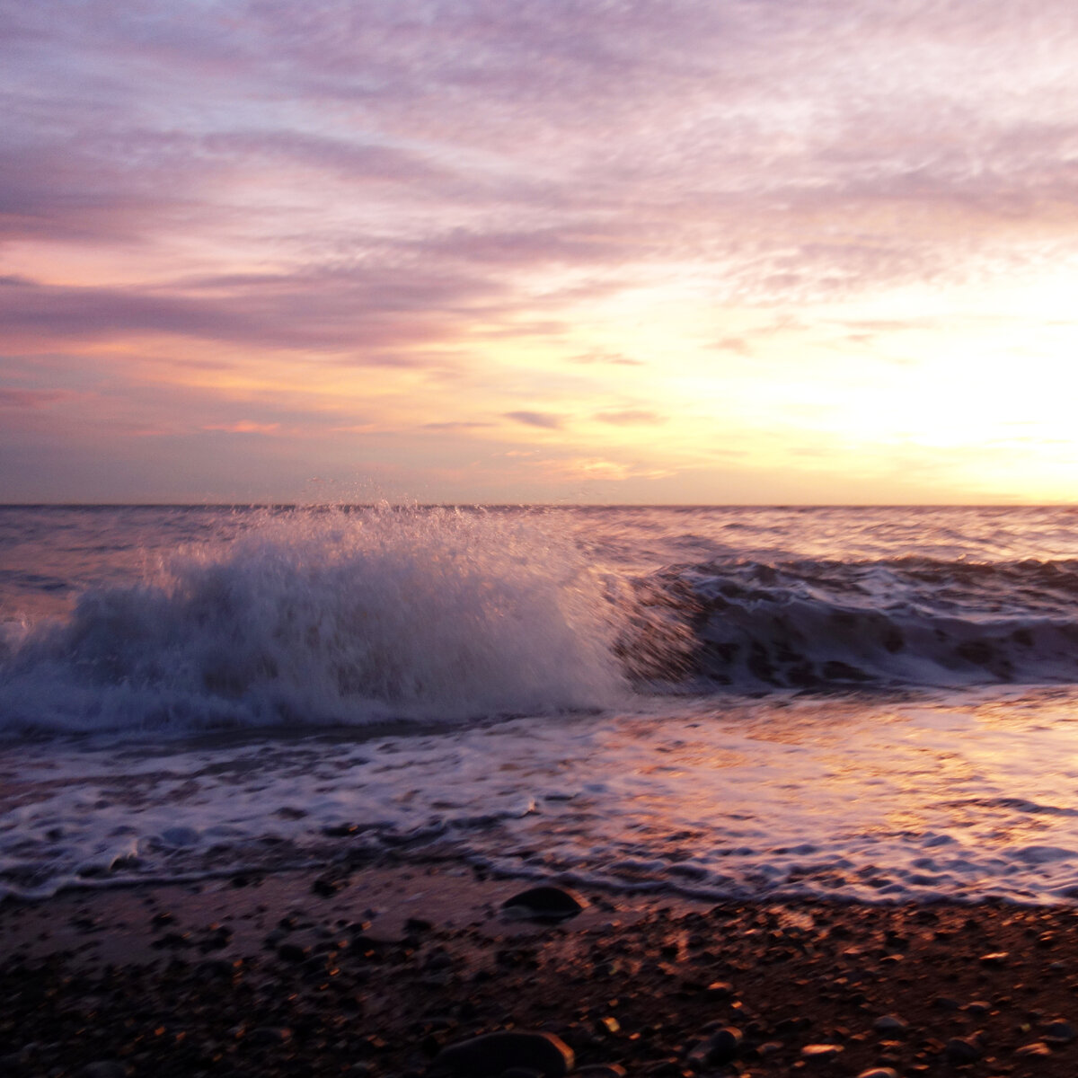 Работа адлер вакансии. Работа в сочи. Работа сочи адлер. Вакансии сочи. Адлер новая набережная.
