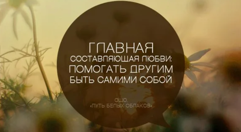 Не учи ученого пословица. Не учи ученого пословица