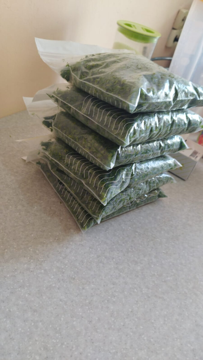 Заготовка на зиму (петрушка и укроп) 