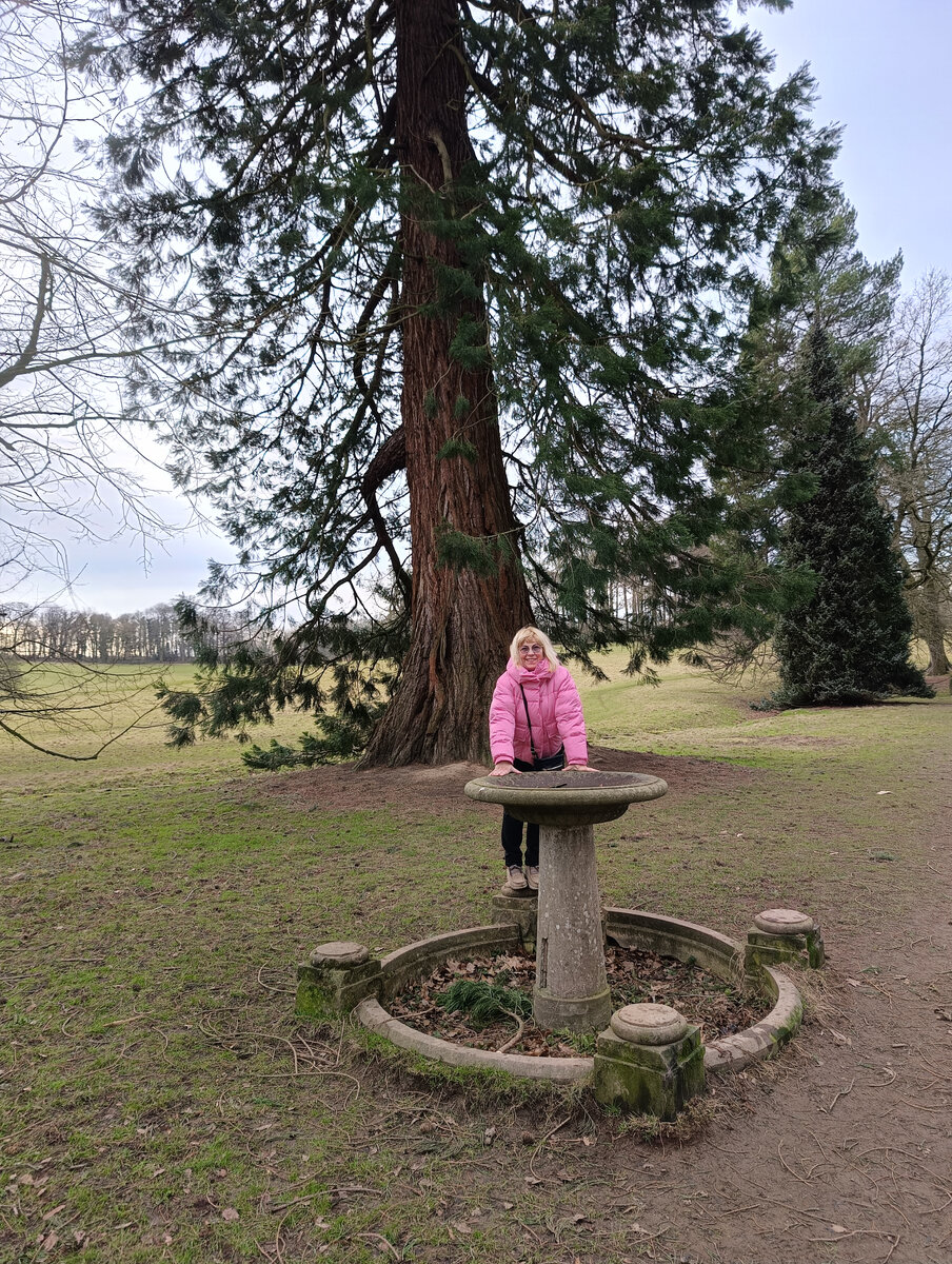 Правило somebody anybody nobody в английском. Англискиги слова с переводом. Неопределенные местоимения some, any, no, every и их производные. Somebody something. Красивые слова на английском.