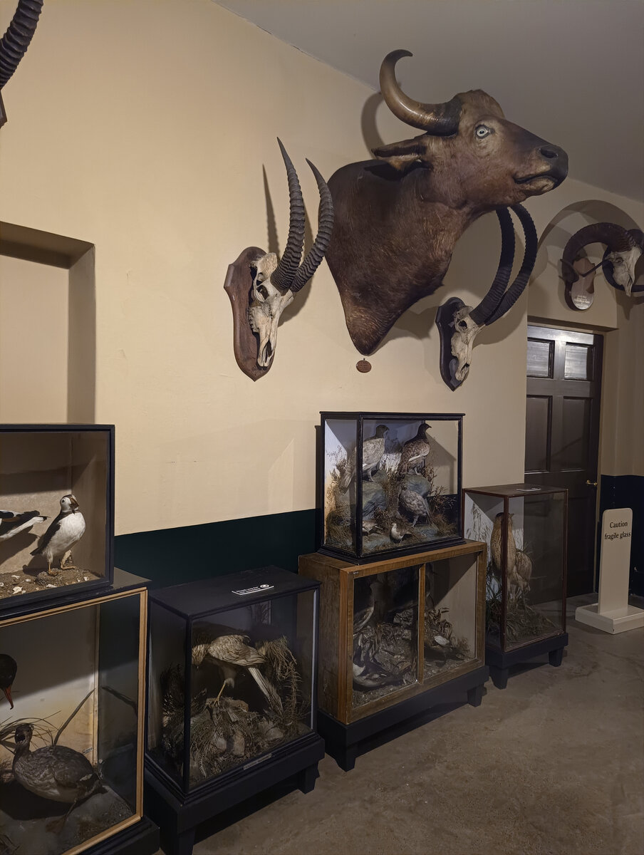 Цитаты послать всех подальше. Где нибудь поближе есть. Высказывания про женскую измену. Где нибудь поближе есть. Цитаты про измену.