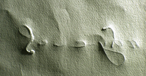 Рис. 2. Оборотная сторона