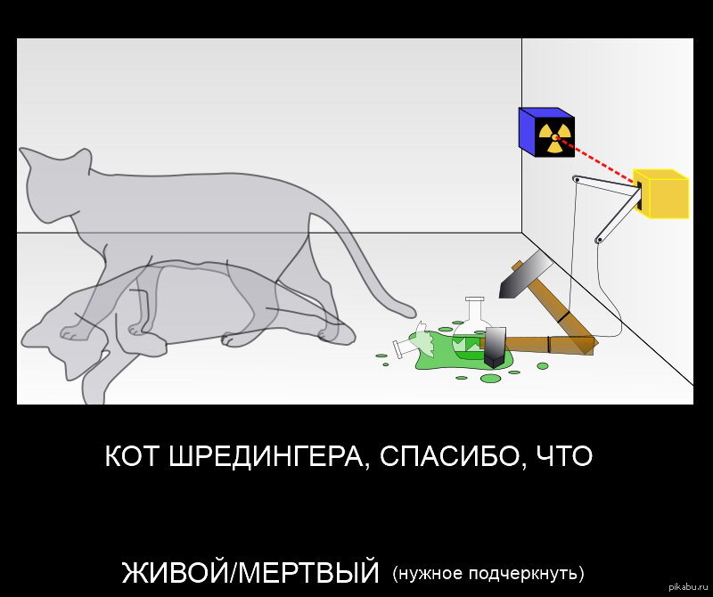 Квантовая механика кот Шредингера. Парадокс кота Шредингера. Кот Шредингера эксперимент. Теория суперпозиции Шредингера.