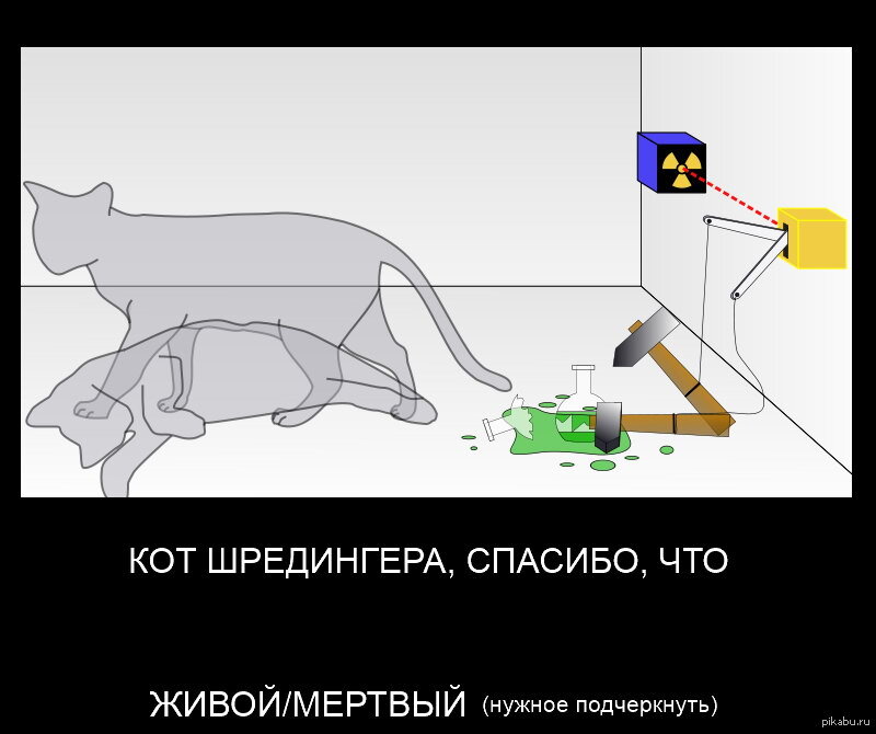 Юмор шредингера вконтакте. Квантовая механика кот Шредингера. Парадокс кота Шредингера. Кот Шредингера эксперимент. Теория суперпозиции Шредингера.