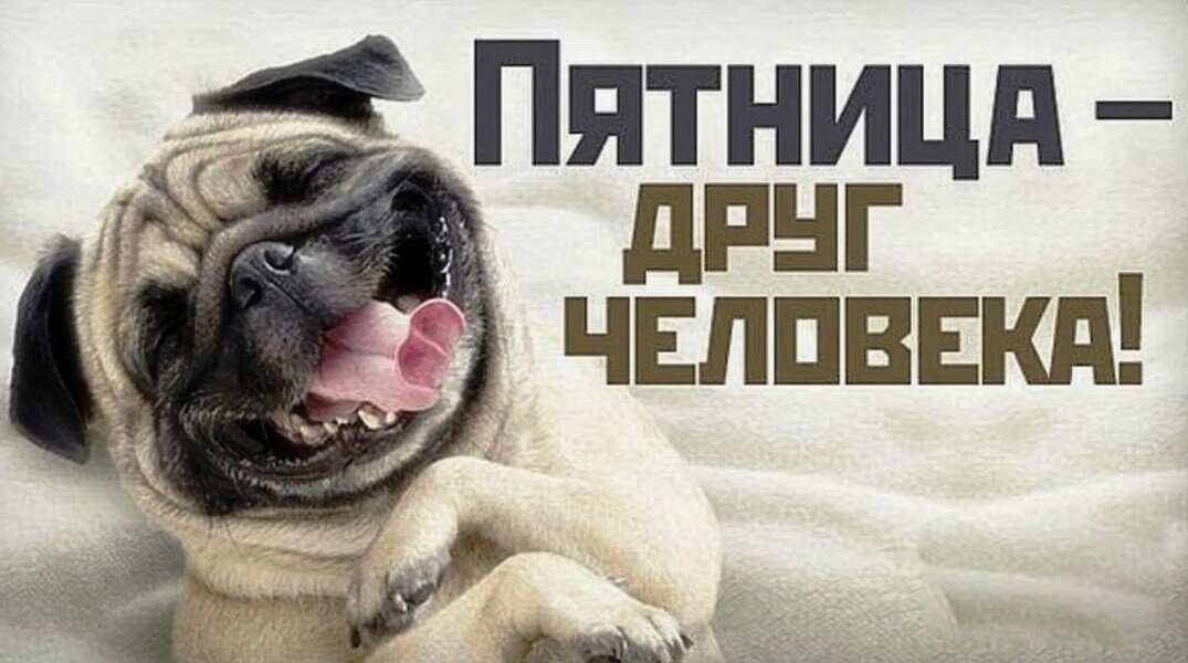 Фото из открытого источника