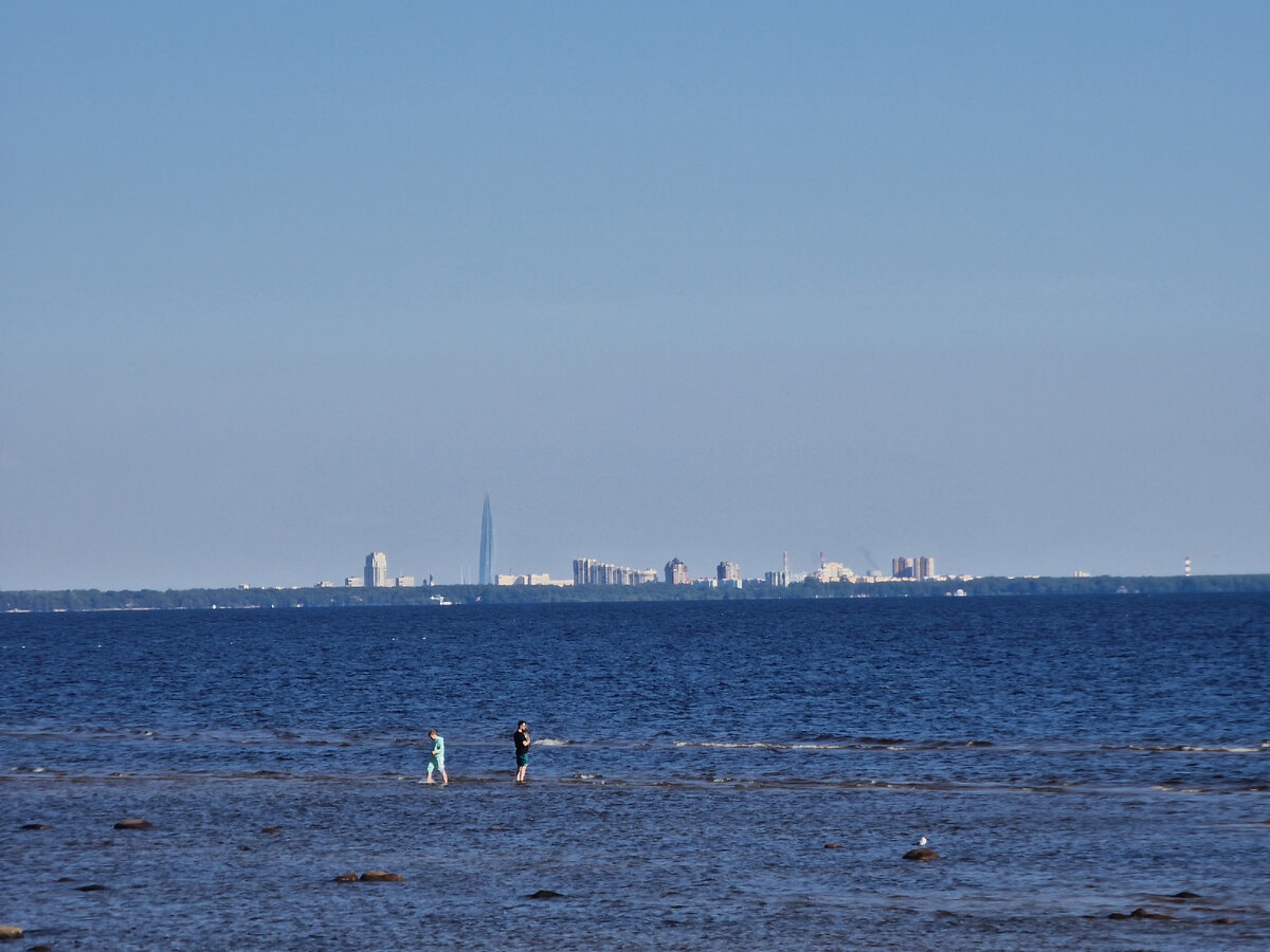 Вид на Лахта-центр с Комаровского берега