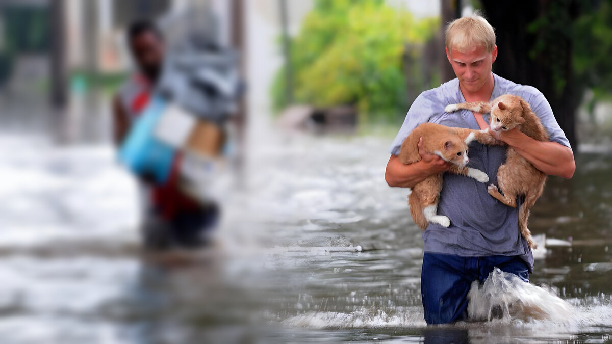 Хороший человек. Фото из открытых источников