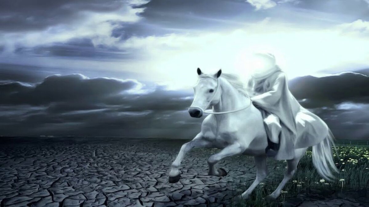 Белые кони кадышевой. Белый всадник. Всадник на белом коне. Белый конь. Всадник на белой лошади.