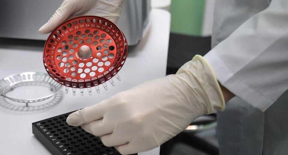    РИА «Новости»